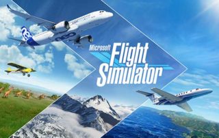 Microsoft Flight Simulator: