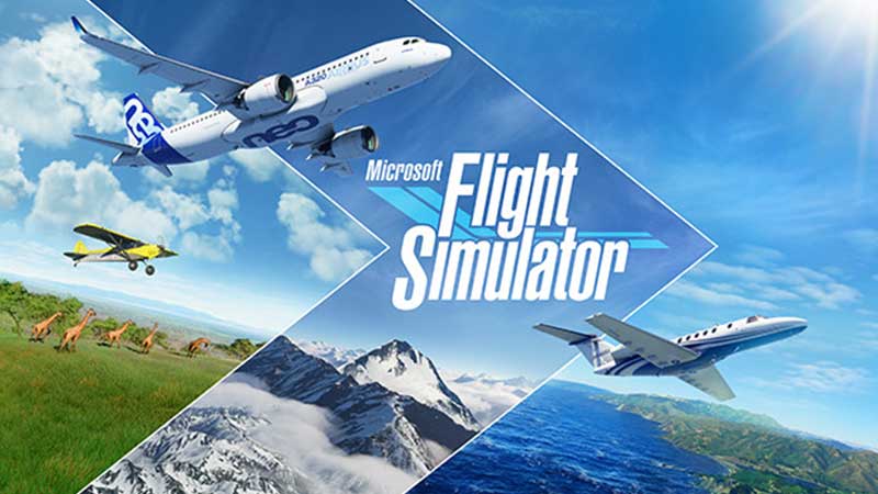 Microsoft Flight Simulator: