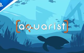 Acquarist Playstation Recensione