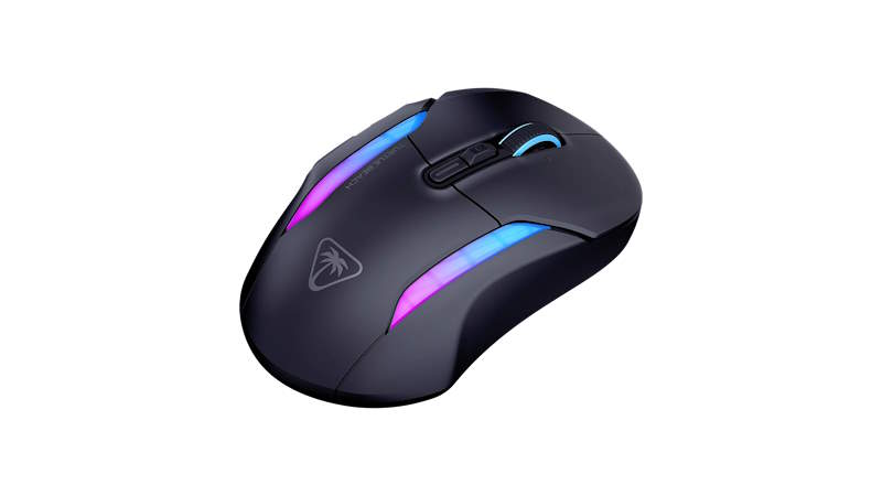 Turtle Beach