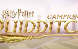 Harry Potter Campioni di Quidditch Recensione
