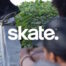 skate. annuncia l'accesso anticipato nel 2025