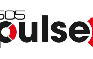 Digital Bros rinomina la propria label di publishing indie HOOK in 505 Pulse