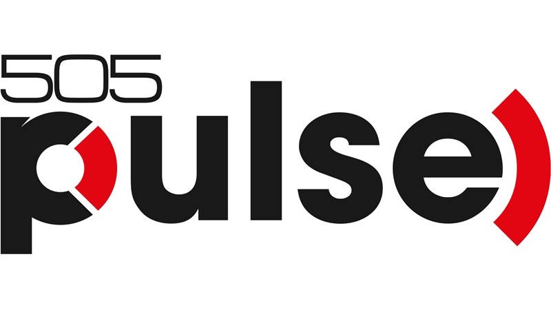 Digital Bros rinomina la propria label di publishing indie HOOK in 505 Pulse
