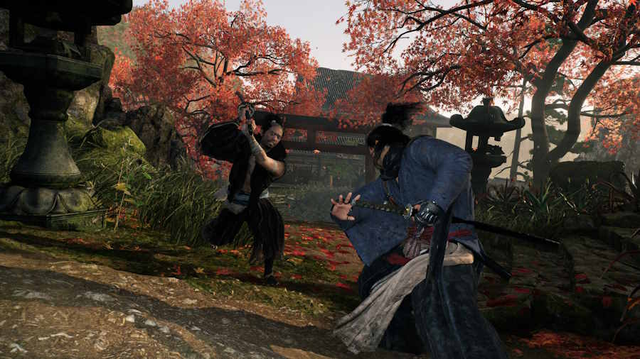 Rise of The Ronin