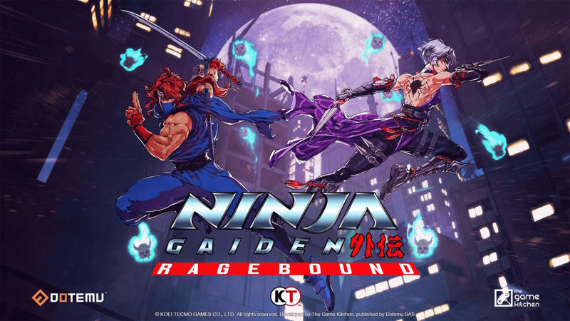 Ninja Gaiden Rebound