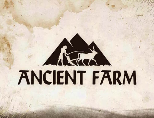 Ancient Farm Recensione