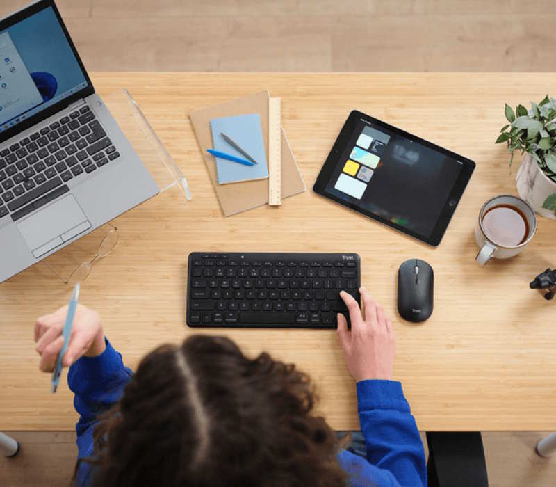 Trust Lyra Wireless