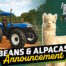 Farming Simulator 25 si espande: annunciata Beans & Alpacas con caffè, alpaca e una nuova mappa ispirata al Brasile