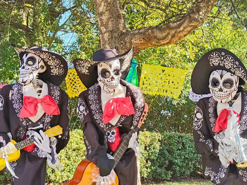 MagicLand per Halloween