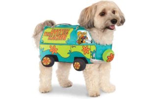Halloween a tema Scooby-Doo: 10 prodotti Amazon originalissimi che non ti aspetti