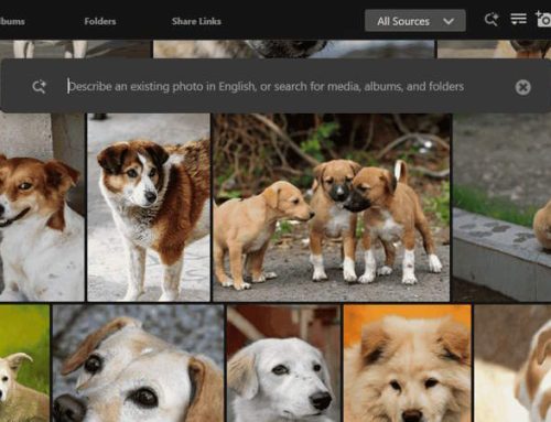 ASUSTOR porta l’intelligenza artificiale sui NAS: le foto si organizzano da sole e si cercano con una semplice descrizione