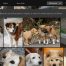 ASUSTOR porta l’intelligenza artificiale sui NAS: le foto si organizzano da sole e si cercano con una semplice descrizione