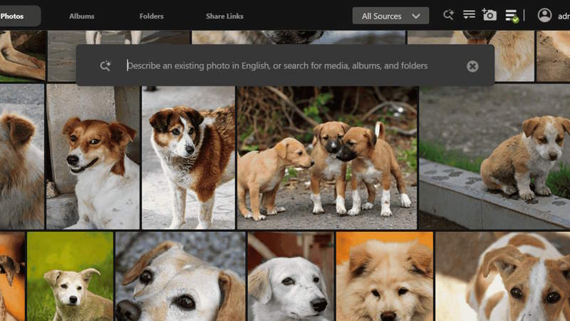 ASUSTOR porta l’intelligenza artificiale sui NAS: le foto si organizzano da sole e si cercano con una semplice descrizione