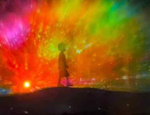 MagicLand premiato per Luminous: il parco guarda già alla nuova montagna russa DURANGO